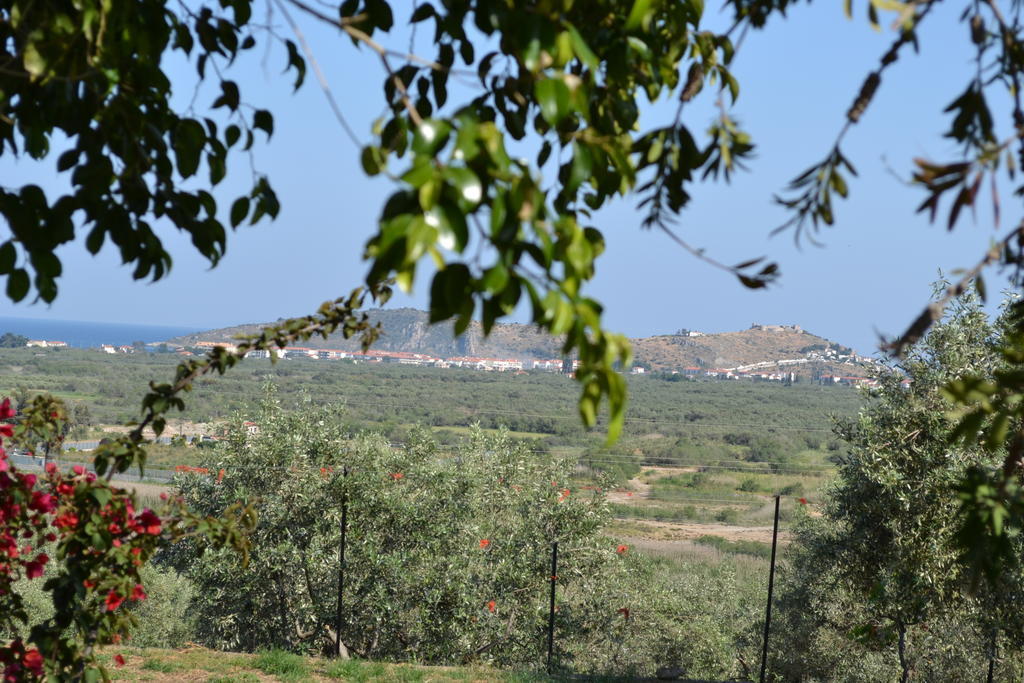 Dimitras House Daire Parálion Ástros Dış mekan fotoğraf